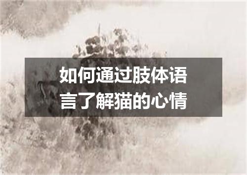 如何通过肢体语言了解猫的心情