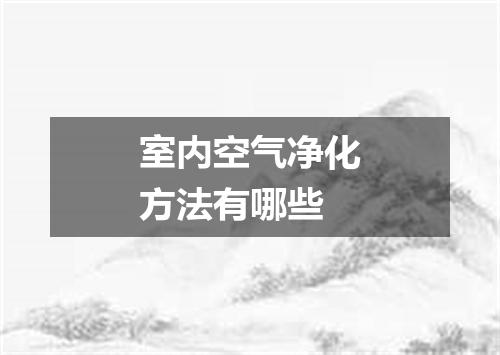 室内空气净化方法有哪些
