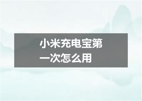 小米充电宝第一次怎么用