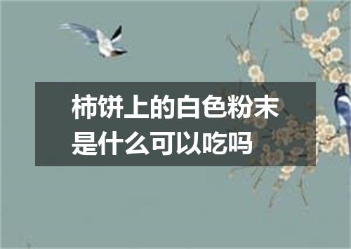 柿饼上的白色粉末是什么可以吃吗