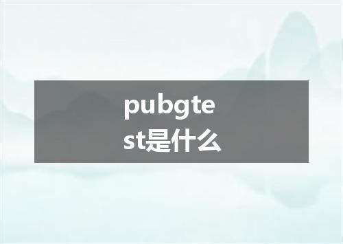 pubgtest是什么
