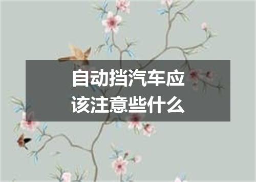 自动挡汽车应该注意些什么