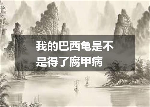 我的巴西龟是不是得了腐甲病