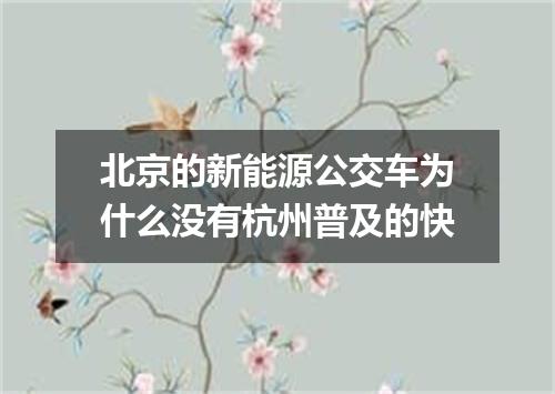 北京的新能源公交车为什么没有杭州普及的快