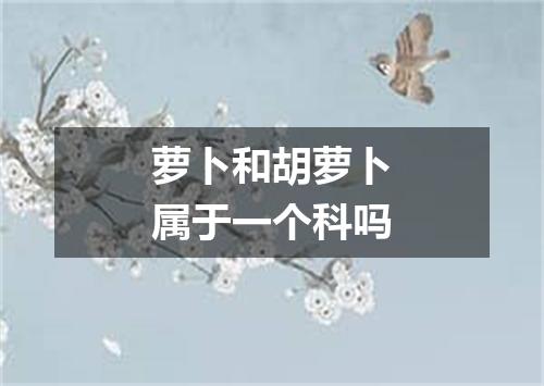 萝卜和胡萝卜属于一个科吗