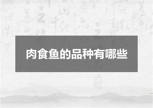 肉食鱼的品种有哪些