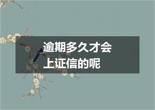 逾期多久才会上证信的呢