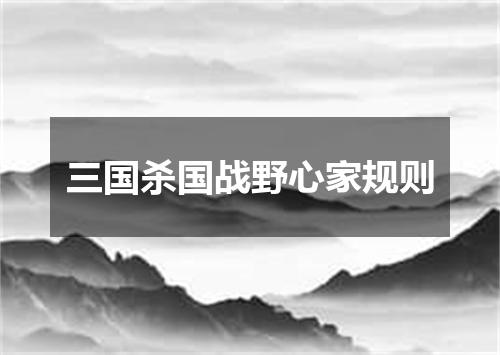 三国杀国战野心家规则