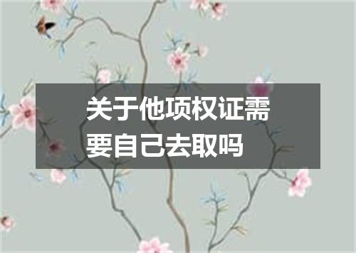 关于他项权证需要自己去取吗