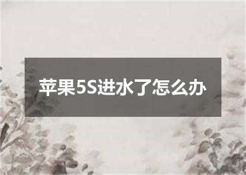 苹果5S进水了怎么办