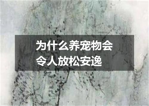 为什么养宠物会令人放松安逸