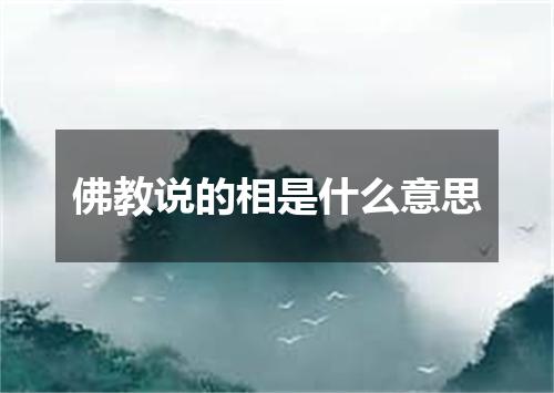 佛教说的相是什么意思