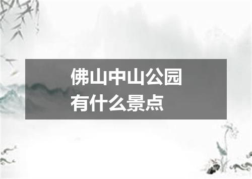 佛山中山公园有什么景点