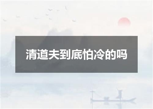 清道夫到底怕冷的吗