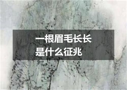 一根眉毛长长是什么征兆