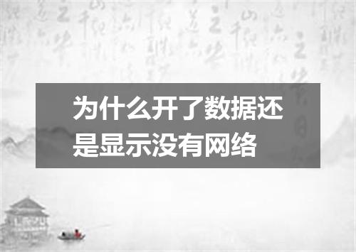 为什么开了数据还是显示没有网络