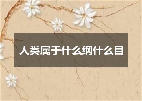 人类属于什么纲什么目