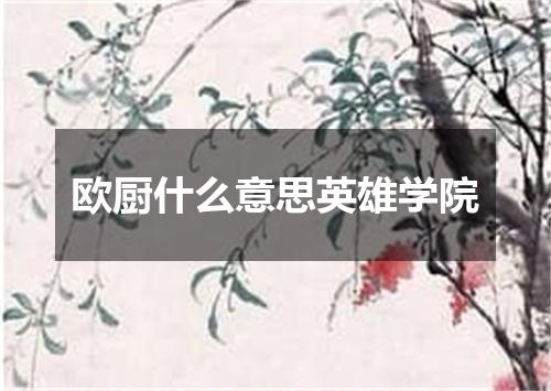 欧厨什么意思英雄学院