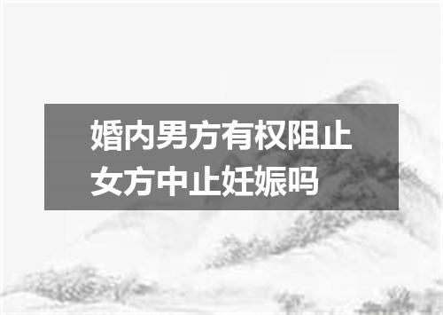 婚内男方有权阻止女方中止妊娠吗