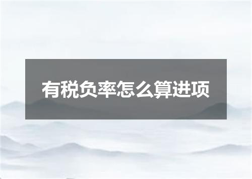 有税负率怎么算进项