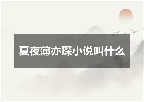夏夜薄亦琛小说叫什么