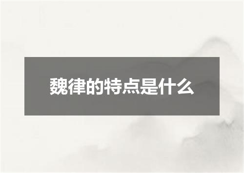 魏律的特点是什么