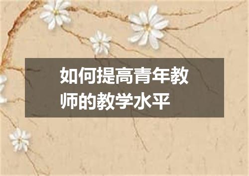 如何提高青年教师的教学水平