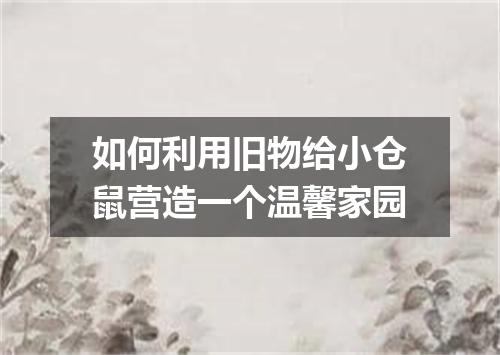 如何利用旧物给小仓鼠营造一个温馨家园