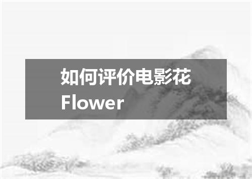 如何评价电影花Flower