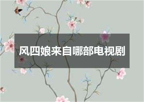 风四娘来自哪部电视剧