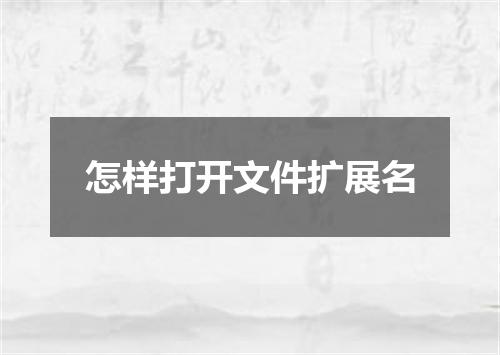 怎样打开文件扩展名