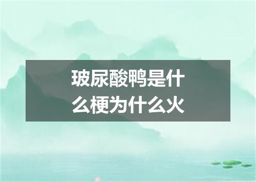 玻尿酸鸭是什么梗为什么火