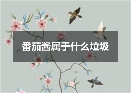 番茄酱属于什么垃圾