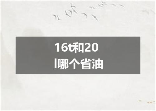 16t和20l哪个省油