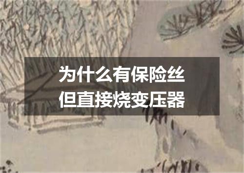 为什么有保险丝但直接烧变压器