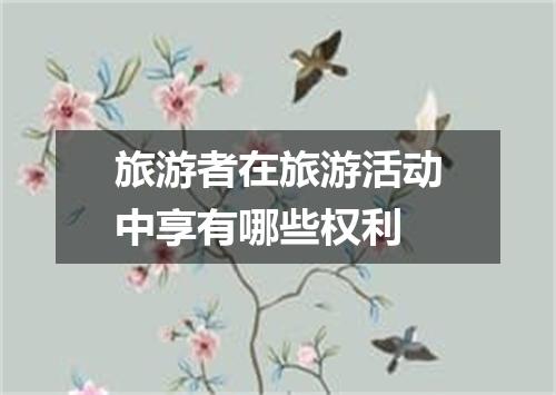 旅游者在旅游活动中享有哪些权利