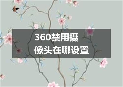 360禁用摄像头在哪设置