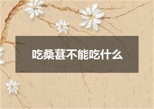 吃桑葚不能吃什么