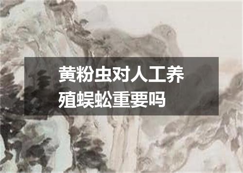 黄粉虫对人工养殖蜈蚣重要吗