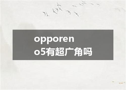 opporeno5有超广角吗