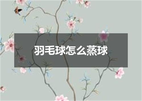羽毛球怎么蒸球