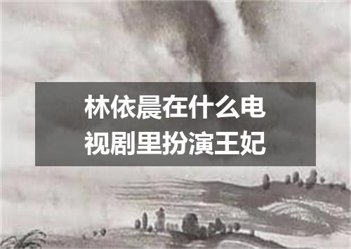 林依晨在什么电视剧里扮演王妃