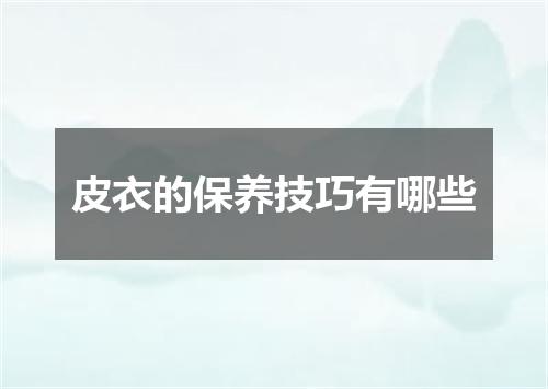 皮衣的保养技巧有哪些