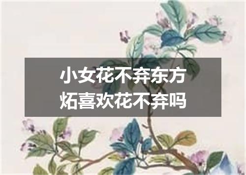 小女花不弃东方炻喜欢花不弃吗