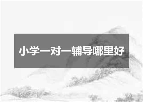 小学一对一辅导哪里好