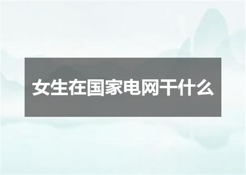 女生在国家电网干什么