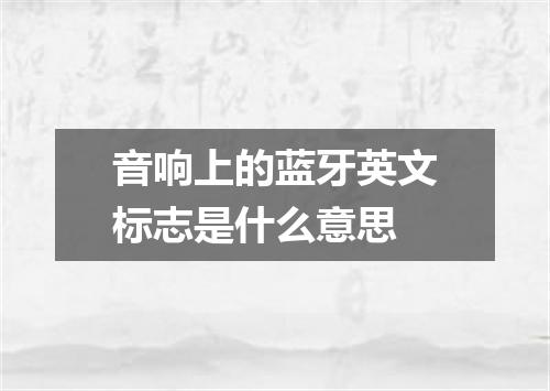 音响上的蓝牙英文标志是什么意思