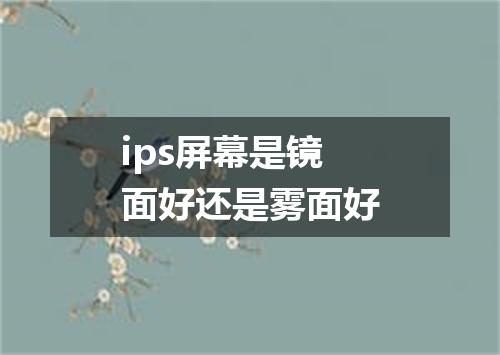 ips屏幕是镜面好还是雾面好