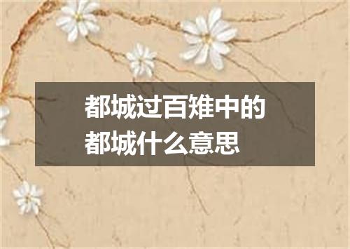 都城过百雉中的都城什么意思