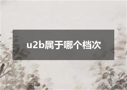 u2b属于哪个档次